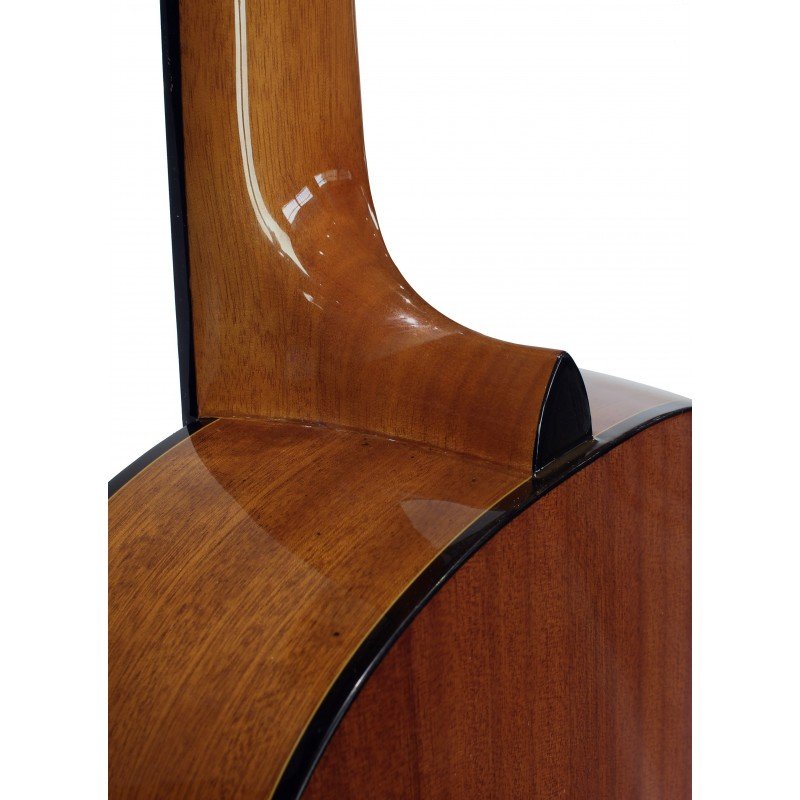 OUTLET Defecto Estetico - C320.202 Guitarra Clasica Vicente Tatay - Fondo de Sapeli con Tapa de Abeto - Acabado Brillo - Imagen 7