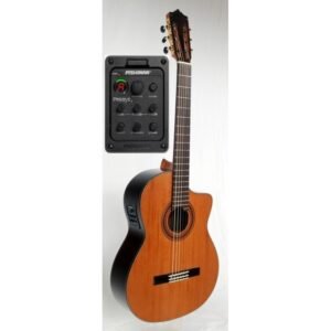 C320.206S CE Guitarra Clasica Vicente Tatay - Fondo Palosanto Tapa Maciza de Abeto - Brillo - Amplificada Fishman PSY-301 y Cut