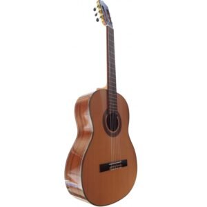C320.205C Guitarra Clasica Vicente Tatay - Fondo de Caoba con Tapa Maciza de Cedro - Acabado Brillo