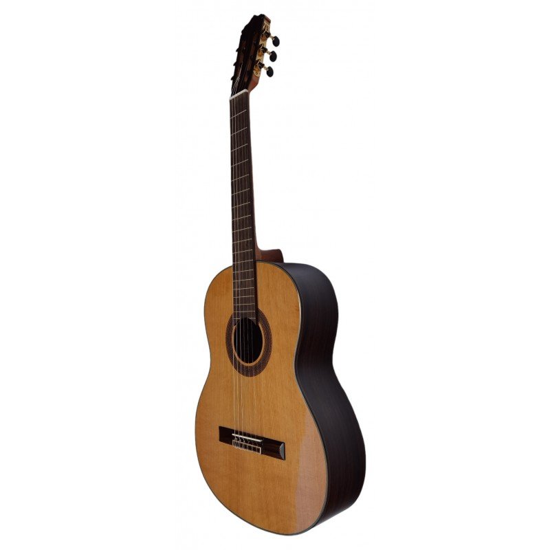 C320.206C Guitarra Clasica Vicente Tatay - Fondo de Palosanto con Tapa Maciza de Cedro - Imagen 2