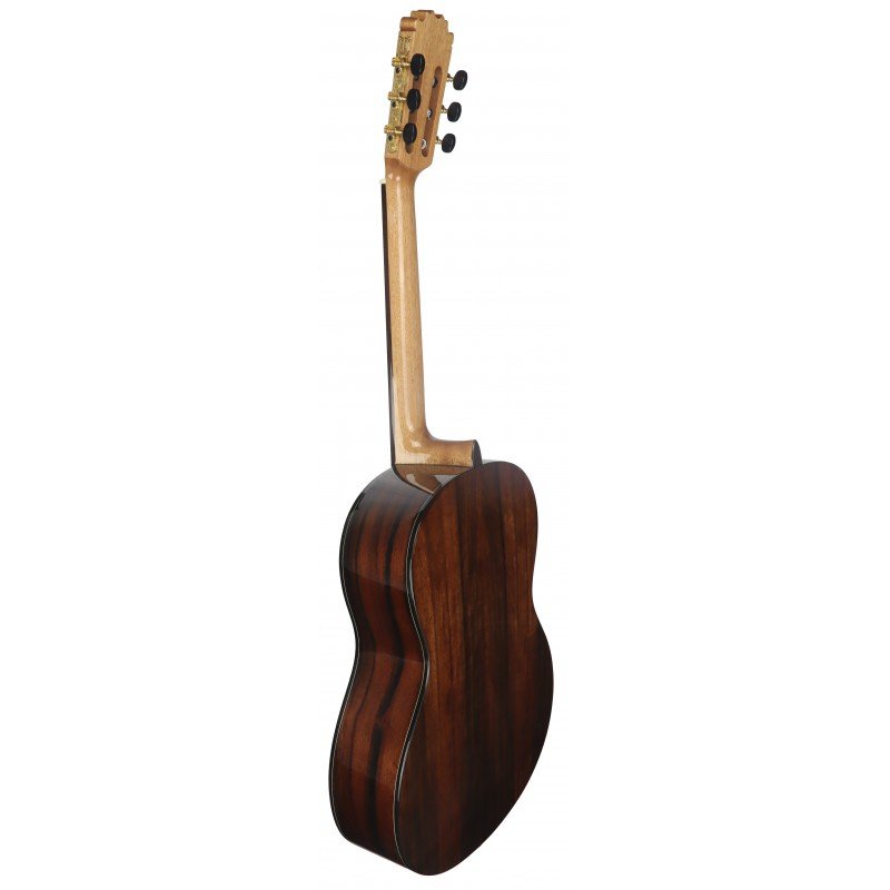 C320.204 Guitarra Clasica Vicente Tatay - Fondo de Palosanto con Tapa de Abeto - Acabado Brillo - Imagen 2