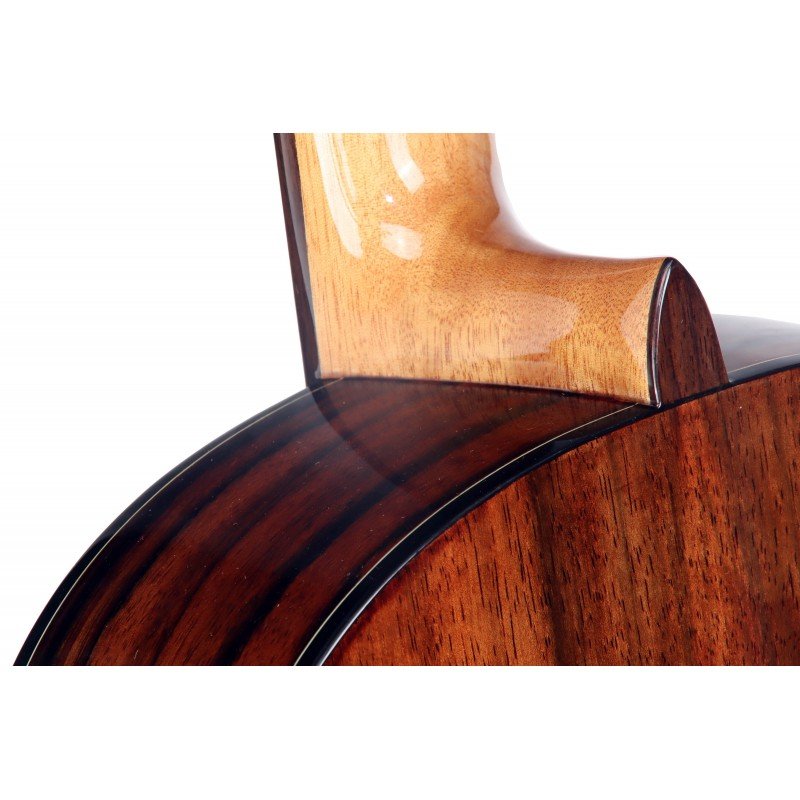 C320.204 Guitarra Clasica Vicente Tatay - Fondo de Palosanto con Tapa de Abeto - Acabado Brillo - Imagen 4