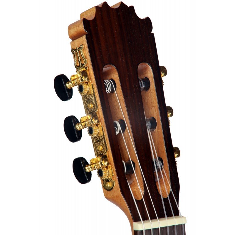 C320.204 Guitarra Clasica Vicente Tatay - Fondo de Palosanto con Tapa de Abeto - Acabado Brillo - Imagen 6