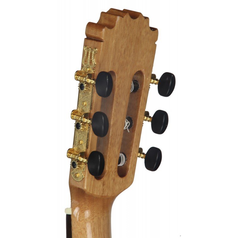 C320.204 Guitarra Clasica Vicente Tatay - Fondo de Palosanto con Tapa de Abeto - Acabado Brillo - Imagen 7