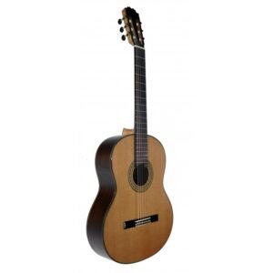 C320.207C Guitarra Clasica Vicente Tatay - Fondo de Palosanto con Tapa Maciza de Cedro - Acabado Brillo